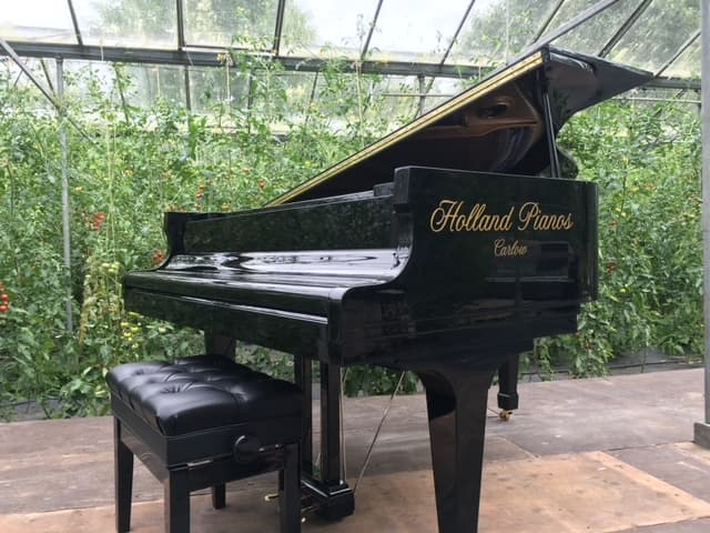 Inside the Holland Pianos showroom with selection of upright and grand pianos